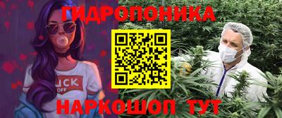 прущий лед Будённовск
