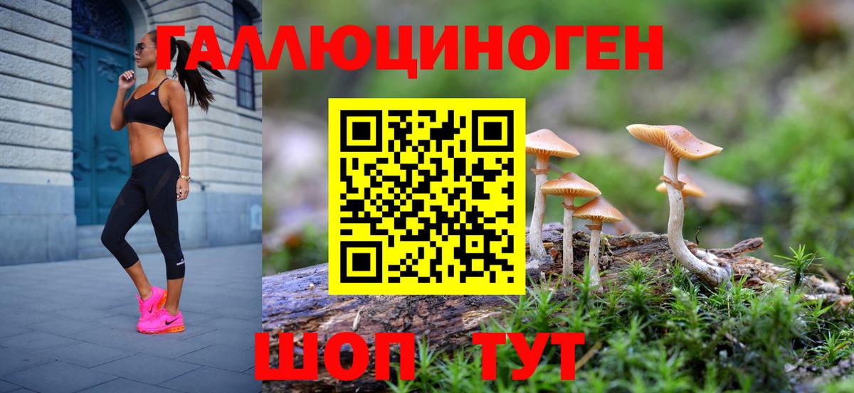 Кызыл  Псилоцибиновые грибы прущие грибы  Галлюциногенные грибы GOLDEN TEACHER  Вход с VPN 