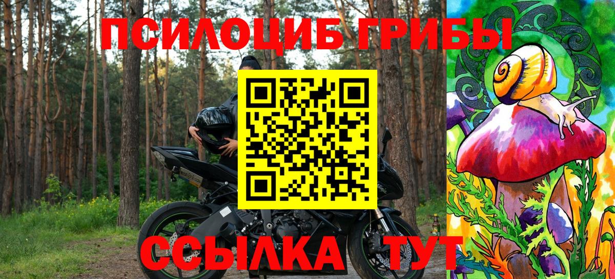 Псилоцибиновые грибы GOLDEN TEACHER Кызыл